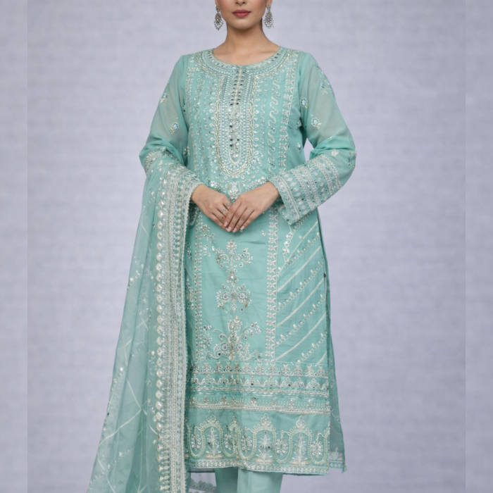 Indian luxury chiffon fabric – 23